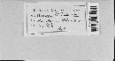 Cercospora beticola image