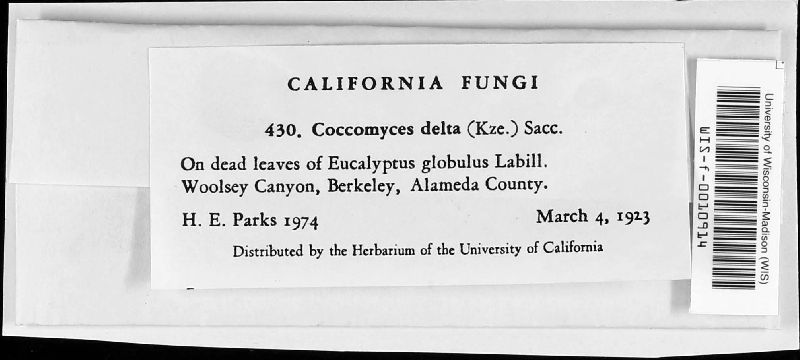 Coccomyces delta image