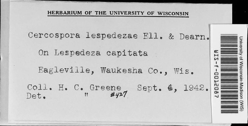 Cercospora lespedezae image