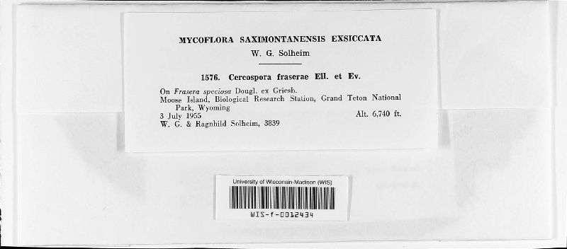 Cercospora fraserae image
