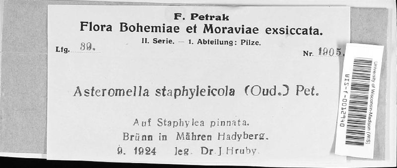 Asteromella staphyleicola image