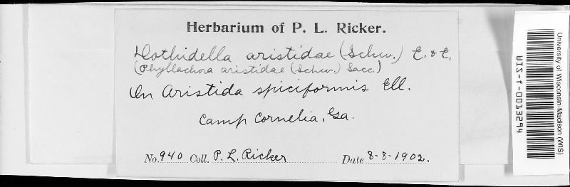 Dothidella image