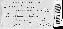 Diplocarpon mespili image