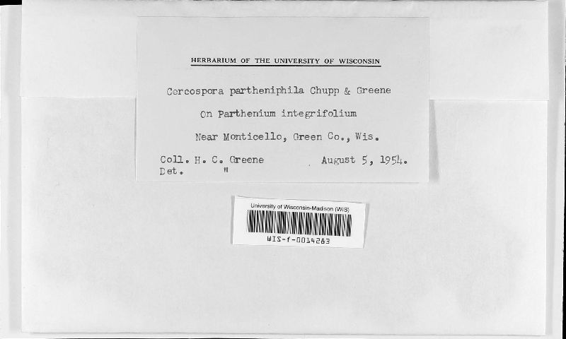 Cercospora partheniphila image