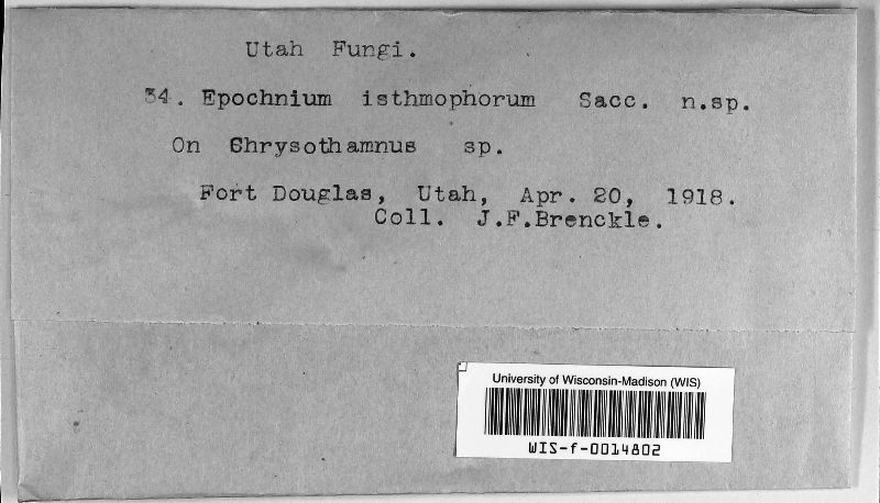 Epochnium image