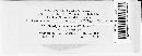 Erysiphe communis image