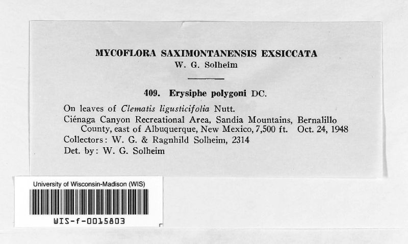 Erysiphe image