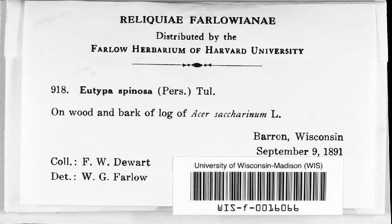 Eutypa image
