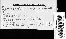 Exobasidium vaccinii image
