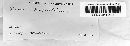 Image of Fomes populinus
