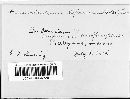 Fusicladium depressum image