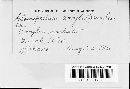 Gloeosporium coryli image