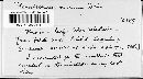 Gloeosporium niveum image