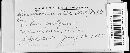 Gloeosporium ribis image
