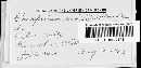 Gloeosporium ribis image