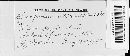 Gloeosporium ribis image