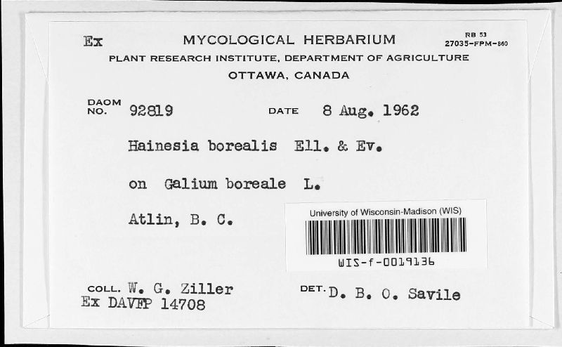 Chaetomellaceae image
