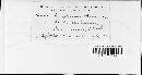 Helminthosporium teres image