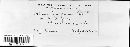 Helminthosporium teres image