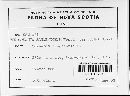 Image of Hendersonia sarmentorum