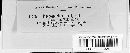 Macrosporium porri image