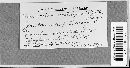 Marssonina populi image