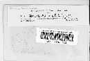 Marssonina wyethiae image