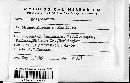 Image of Melanconium