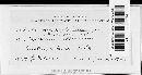 Meliola circinans image
