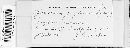 Microstroma juglandis image