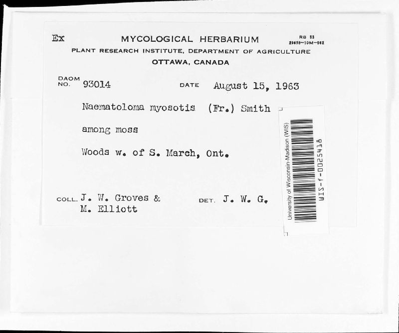 Naematoloma image