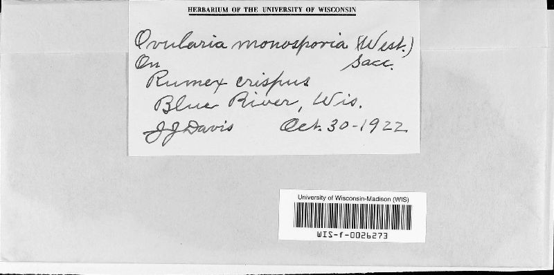 Ovularia image
