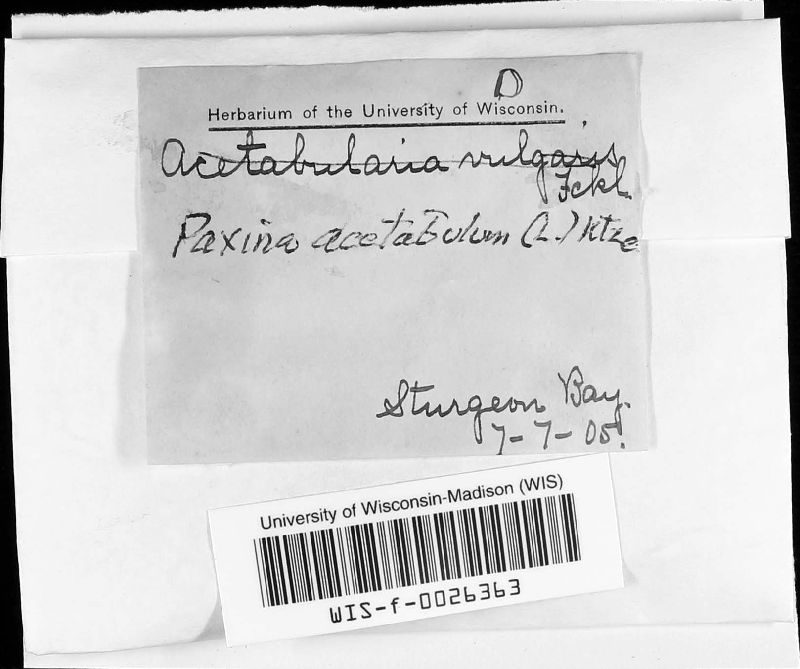 Paxina image