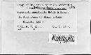 Image of Phomopsis canadensis