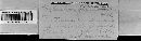 Phyllachora boutelouae image