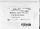 Phyllactinia corylea image