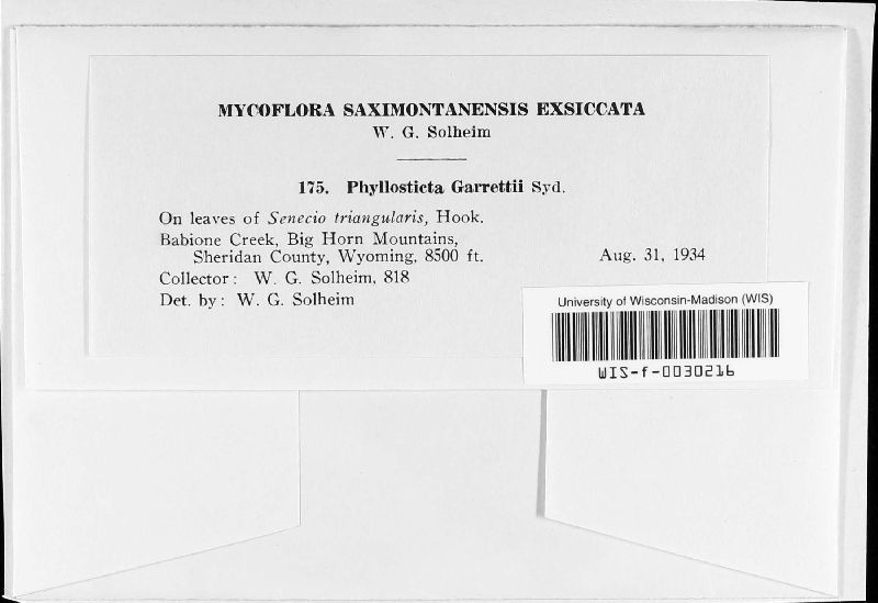 Phyllosticta garrettii image