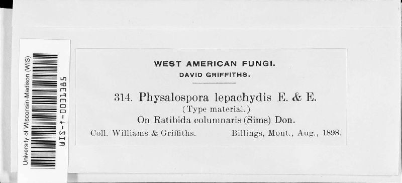 Physalospora lepachydis image