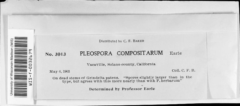 Pleospora compositarum image