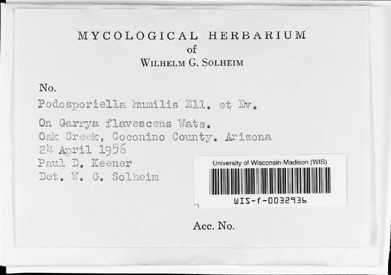 Podosporiella humilis image