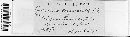 Puccinia angustata image
