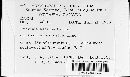 Puccinia asarina image