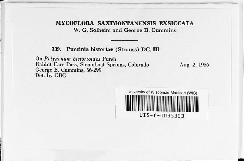 Puccinia bistortae image