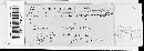 Puccinia caricina image