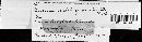 Puccinia caricina image