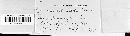 Puccinia dioicae image