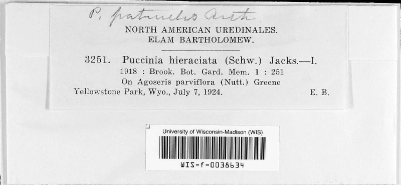 Puccinia dioicae image