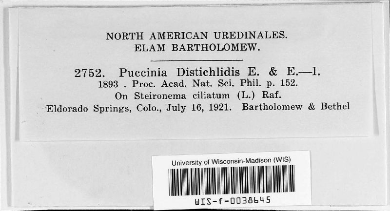 Puccinia distichlidis image