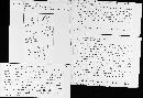 Puccinia distichlidis image