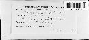 Puccinia eleocharidis image